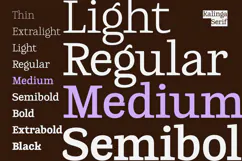 Kalinga | 91 Style Font Product Image 2