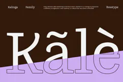 Kalinga | 91 Style Font Product Image 6