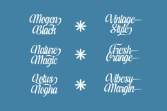 Kameli Antares - Modern Calligraphy Font Product Image 15