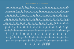 Kameli Antares - Modern Calligraphy Font Product Image 18