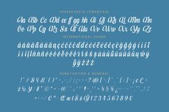 Kameli Antares - Modern Calligraphy Font Product Image 19