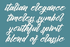 Kamperly Vacation - Bold Calligraphy Font Product Image 6