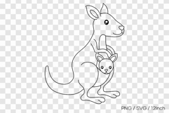 Mama Australian wild kangaroo pouch joey PNG animal clipart Product Image 1