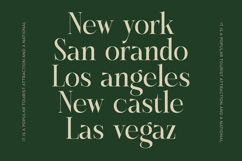 Karosa - Modern Serif Font Product Image 5