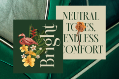 Karosa - Modern Serif Font Product Image 9