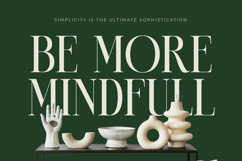 Karosa - Modern Serif Font Product Image 11