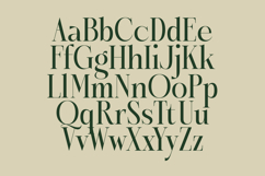 Karosa - Modern Serif Font Product Image 14
