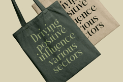 Karosa - Modern Serif Font Product Image 16