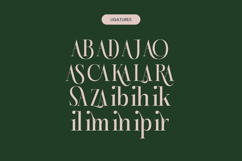 Karosa - Modern Serif Font Product Image 17