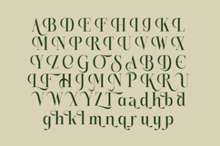 Karosa - Modern Serif Font Product Image 18