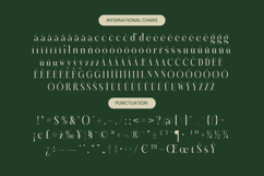 Karosa - Modern Serif Font Product Image 19