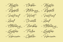 Karthins - Modern Signature Script Product Image 7