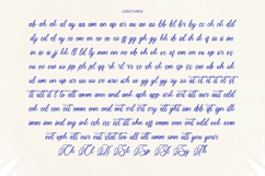 Kartula  Bold Calligraphy Font Product Image 13