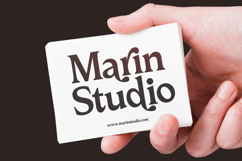 Katrine Nikolas - Modern Serif Display Product Image 3