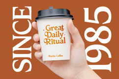 Katrine Nikolas - Modern Serif Display Product Image 4