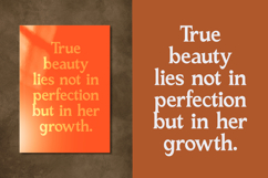 Katrine Nikolas - Modern Serif Display Product Image 14