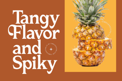 Katrine Nikolas - Modern Serif Display Product Image 16