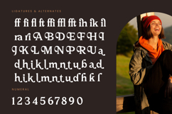 Katrine Nikolas - Modern Serif Display Product Image 18