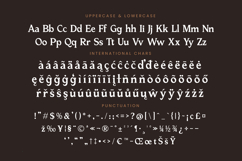 Katrine Nikolas - Modern Serif Display Product Image 19