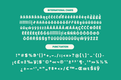 Skatyn Gator -Modern Bold Serif Display Font Product Image 14