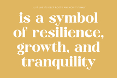 Kavare - Bold Serif Typeface Product Image 14