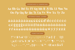 Kavare - Bold Serif Typeface Product Image 19