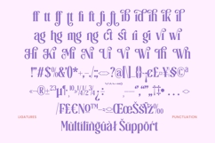 Kavital Mindset - Groovy Serif Display Product Image 17