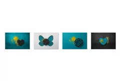 Backgrounds for Photography & Marketing. Kazakhstan Product Image 9