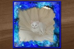 Galaxy Brushed Grunge Edges and Frame Masks Product Image 2