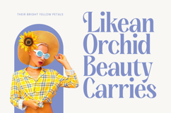 Kenora Groovy - Bold Serif Display Font Product Image 13