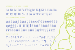 Kenora Groovy - Bold Serif Display Font Product Image 19