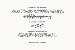 Kertang Elegant Monoline Signature Font Product Image 5