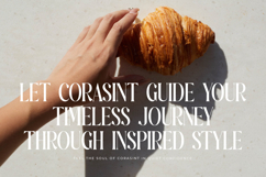 Ketchup Vintage - Modern Serif Font Product Image 2