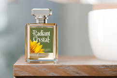 Ketchup Vintage - Modern Serif Font Product Image 3