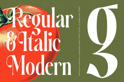 Ketchup Vintage - Modern Serif Font Product Image 7