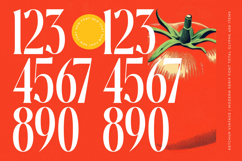 Ketchup Vintage - Modern Serif Font Product Image 13