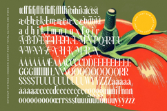 Ketchup Vintage - Modern Serif Font Product Image 18