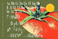 Ketchup Vintage - Modern Serif Font Product Image 19