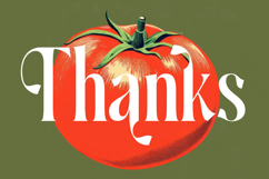 Ketchup Vintage - Modern Serif Font Product Image 20