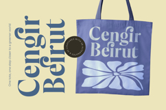 Keyalog Evelzor - Modern Bold Serif Product Image 2