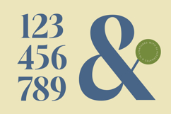 Keyalog Evelzor - Modern Bold Serif Product Image 14