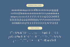 Keyalog Evelzor - Modern Bold Serif Product Image 19