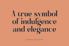 Keylag Borden - Modern Serif Font Product Image 4