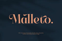 Keylag Borden - Modern Serif Font Product Image 13