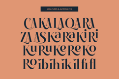 Keylag Borden - Modern Serif Font Product Image 18