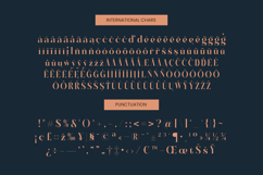 Keylag Borden - Modern Serif Font Product Image 19
