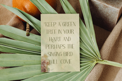 Khalida Florent Font Product Image 5