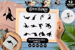 Killer Whale Orca Animals Clipart Set Product Image 1