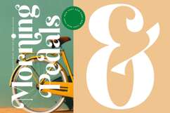 Kindles Swifter - Modern Serif Font Product Image 12