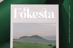 Kindles Swifter - Modern Serif Font Product Image 14